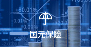 國元保險(xiǎn)